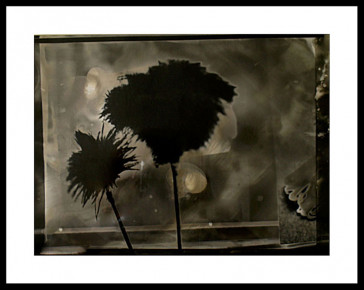 1995 - series "Utilities" - Clemens Mitscher