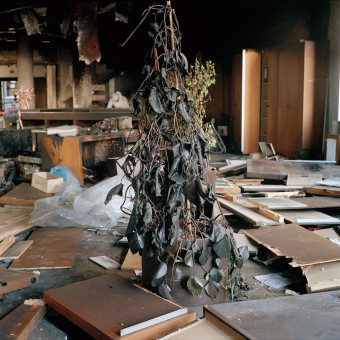 1999 - Anschlag - Clemens Mitscher