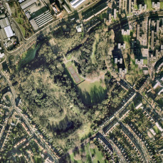 Clemens Mitscher - cinema #01 - Antonioni - 84cm x 84cm