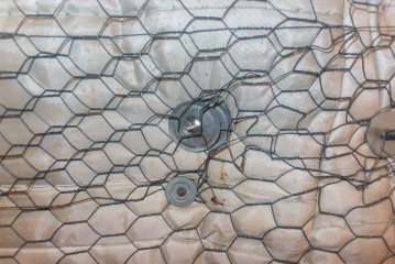 2015 - Paramount #1 - Clemens Mitscher