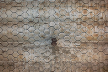 2015 - Paramount #1 - Clemens Mitscher