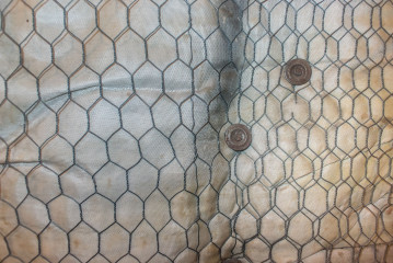 2015 - Paramount #1 - Clemens Mitscher