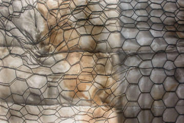 2015 - Paramount #1 - Clemens Mitscher