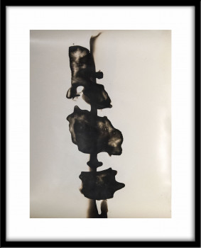 Series "Verrat" Gelatin silver chemigram #15