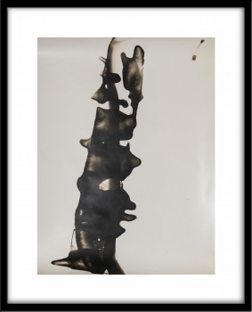 Series "Verrat" Gelatin silver chemigram #16