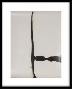 Series "Verrat" Gelatin silver chemigram #18