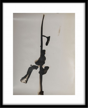 Series "Verrat" Gelatin silver chemigram #19