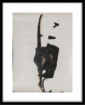 Series "Verrat" Gelatin silver chemigram #20